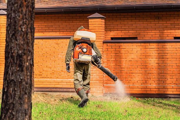 Trusted Bed Bug Control service in Black Point-Green Point, CA - Nex Pest Control